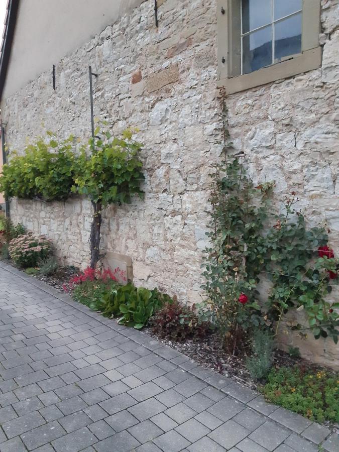 Fewo Koerner Seinsheim Im Weinparadies エクステリア 写真